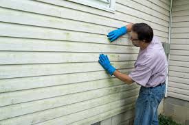 Affordable Siding Repair and Maintenance Services in Heritage Pines, FL